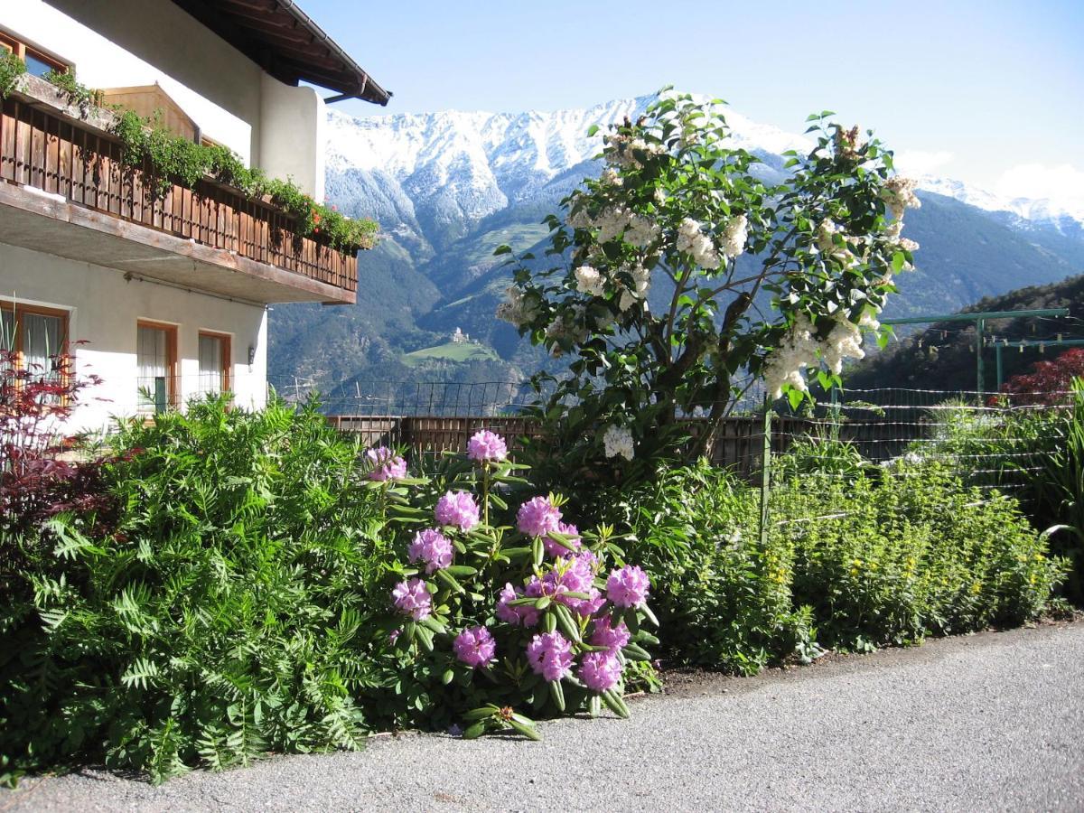 Schlosshof Zu Montani Morter Exterior photo